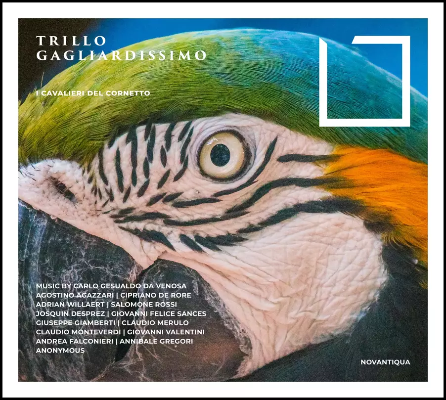 Trillo gagliardissimo
